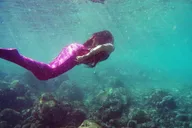 Honolulu Mermaid Snorkel Adventure 90 min thumbnail 2