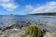 Olympic Backpacking Tour in North Coast 4-Day thumbnail 6