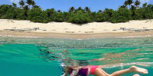 West Palm Beach Jet Snorkel Tour with Videos - Image 3