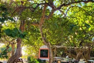 Fort Lauderdale Beach Food Tour thumbnail 1