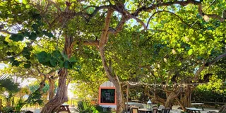 Fort Lauderdale Beach Food Tour