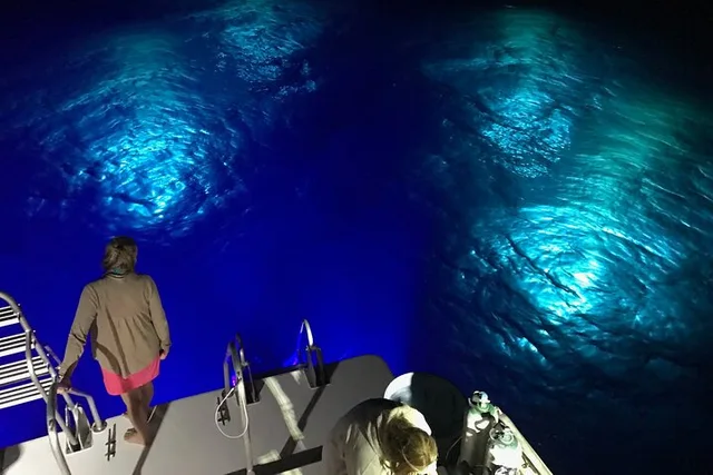 Oahu Night Dive for Certified Divers - Image 4