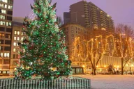 Boston Christmas Private Tour thumbnail 1