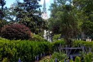 Savannah Botanical Tour thumbnail 5
