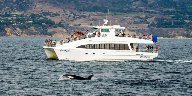 Long Beach Whale Watching Cruise - Image 1