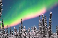 Fairbanks Aurora Chasing Tour 4 hr thumbnail 4