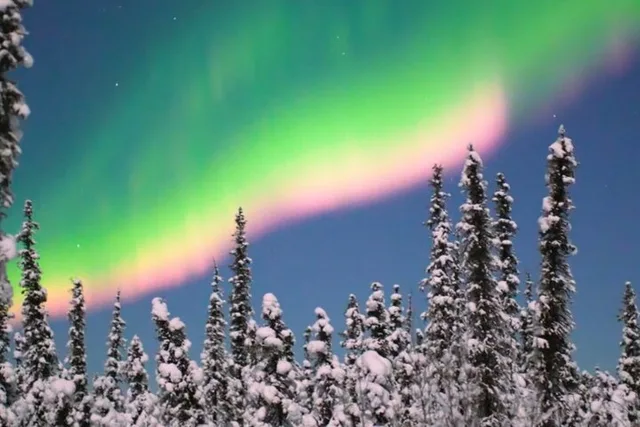 Fairbanks Aurora Chasing Tour 4 hr - Image 4
