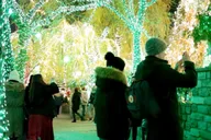 New York City Dyker Heights Christmas Lights Walking Tour thumbnail 6