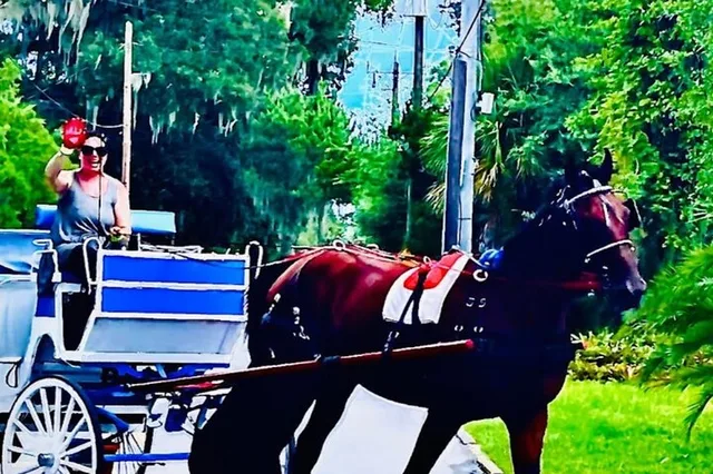 Saint Augustine Horse-Drawn Carriage Tour - Image 5