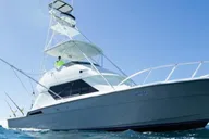 Honolulu Deep Sea Sport Fishing Tour thumbnail 2