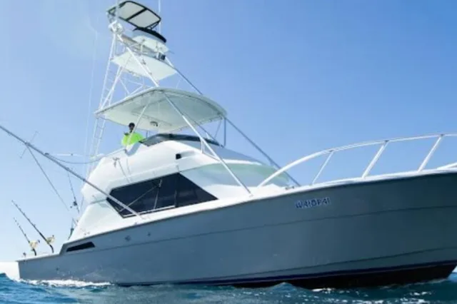 Honolulu Deep Sea Sport Fishing Tour - Image 2