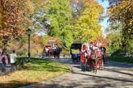 New York Central Park Scandal & Vice Walking Tour 2 hr thumbnail 5