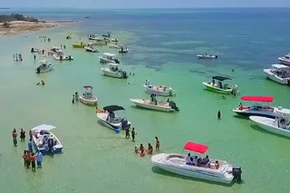 Key West Snorkeling and Eco Safari Adventure