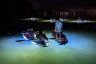 Siesta Key Clear Kayak LED Night Tour 75 min thumbnail 6