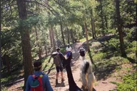 Rocky Mountains Llama Hike thumbnail 2