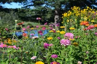 Bar Harbor Acadia National Park Private Tour 4 hr thumbnail 2