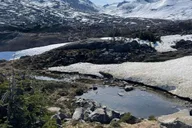 Skagway Highlights Tour with Guide 1.5 hr thumbnail 6