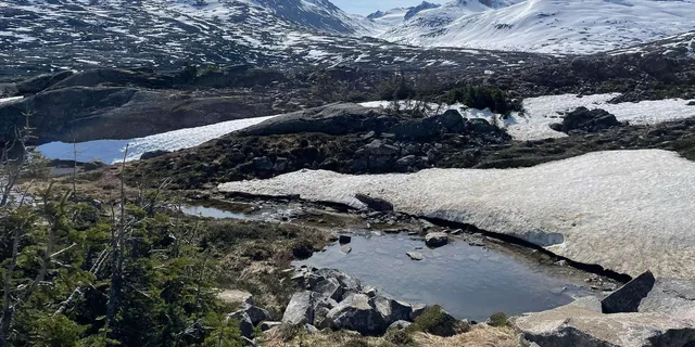 Skagway Highlights Tour with Guide 1.5 hr - Image 6