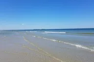 Plymouth Beach Ferry to Browns Bank Sandbar thumbnail 6