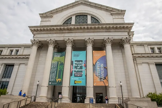 Washington DC Natural History Museum Guided Tour - Image 4