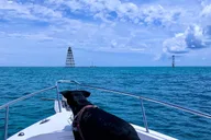 Key West Reef Snorkeling Adventure thumbnail 2