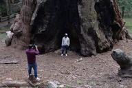 Los Angeles Sequoia and Kings Canyon Private Day Tour thumbnail 3