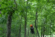 Lexington Zipline Canopy Tour thumbnail 1