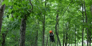 Lexington Zipline Canopy Tour