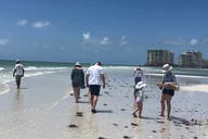 10,000 Islands Shelling Boat Tour thumbnail 3