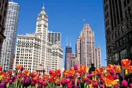 Chicago Private City Tour thumbnail 2