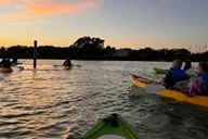 Sarasota Glass Bottom Kayak Night Tour thumbnail 6