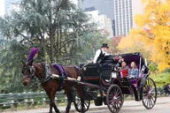 New York City Horse Carriage Ride in Central Park thumbnail 2