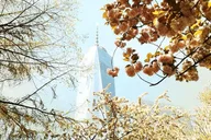 New York Ground Zero Private Tour with Observatory Option thumbnail 6