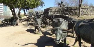 Dallas Small Group Van Tour
