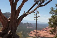 Sedona Jeep Tour on the Colorado Plateau 2 hr thumbnail 1