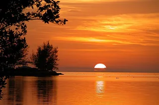 Key West Sunset Sail and Snorkeling Tour