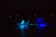 Destin Ft. Walton Beach Clear Kayak Glow Tour thumbnail 4