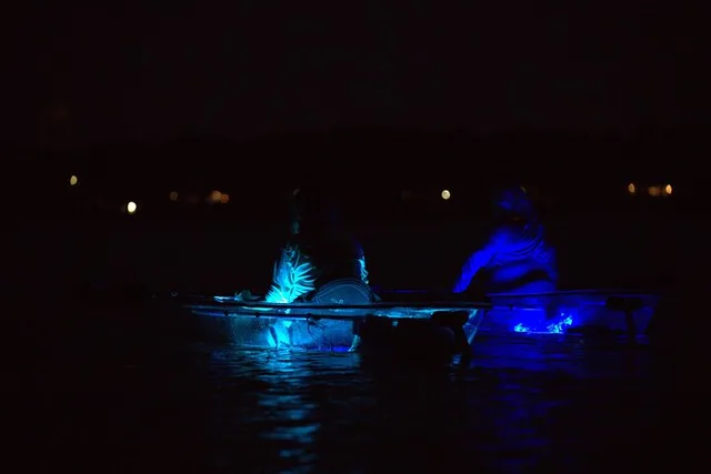 Destin Ft. Walton Beach Clear Kayak Glow Tour - Image 4