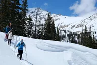 Denver Snowshoeing Tour in Rocky Mountains thumbnail 3