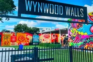 Miami Wynwood Walls Street Art and Food Walking Tour thumbnail 4