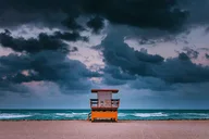 Miami Everglades and City Tour 8 hr thumbnail 5