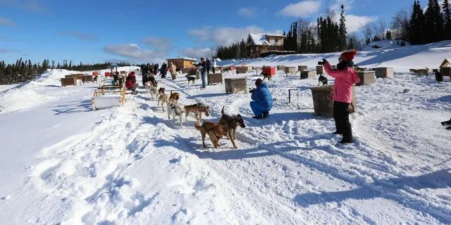 Fairbanks Winter City Tour and Dog Sledding - Image 6