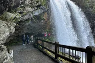Asheville Rainforest and Waterfall Tour thumbnail 3