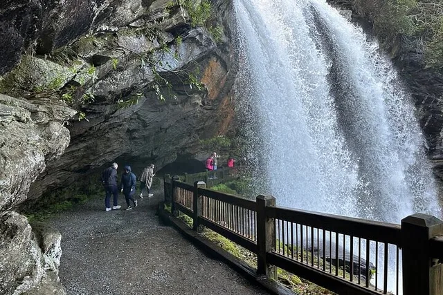 Asheville Rainforest and Waterfall Tour - Image 3