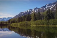Anchorage Wilderness Wildlife and Glacier Experience thumbnail 5