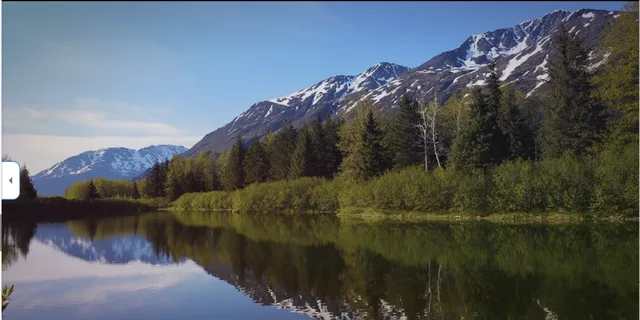 Anchorage Wilderness Wildlife and Glacier Experience - Image 5
