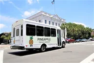 Charleston City Sightseeing Bus Tour thumbnail 2