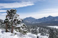 Estes Park Winter Tour in Rocky Mountain National Park thumbnail 1