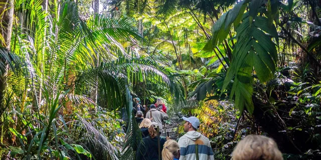 Kona Cloud Forest Sanctuary Jungle Tour - Image 5