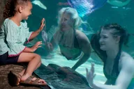 Myrtle Beach Aquarium Entry Ticket thumbnail 1